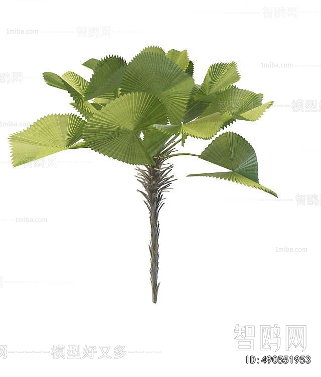 Modern Tree