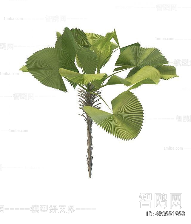 Modern Tree