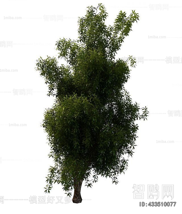 Modern Tree