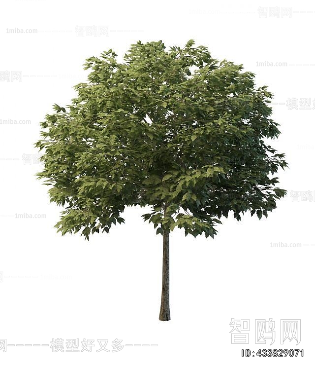 Modern Tree