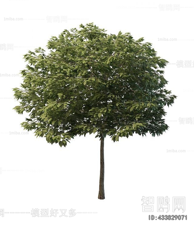 Modern Tree