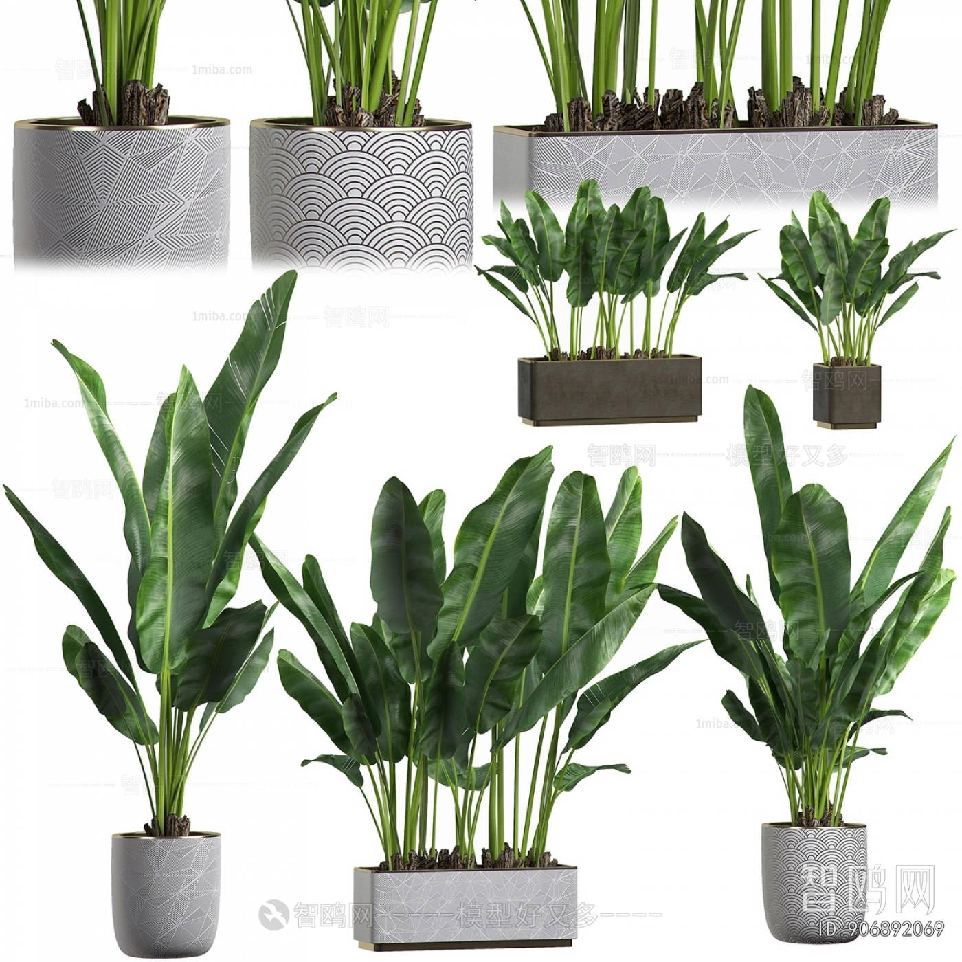 Modern Ground Green Plant Potted Plants
