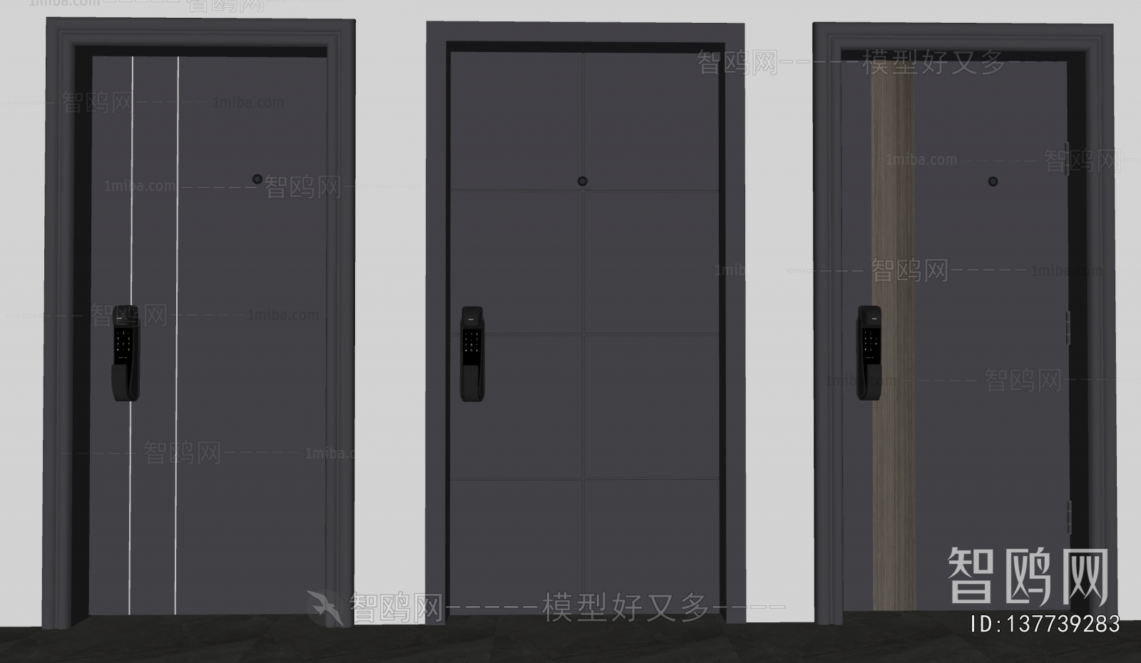 Modern Entrance Door