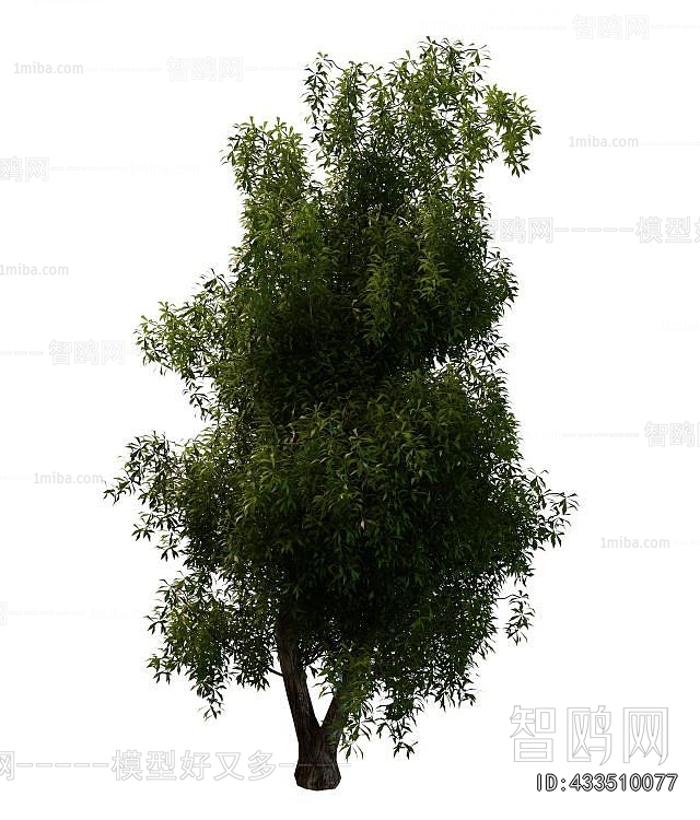 Modern Tree