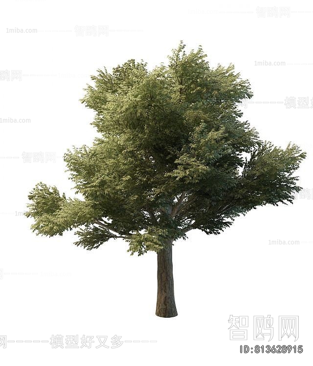 Modern Tree