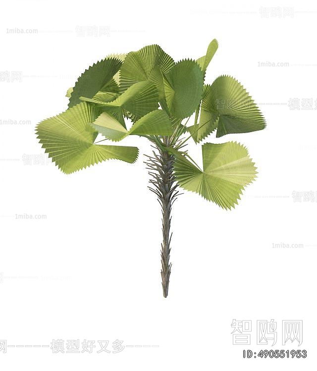Modern Tree