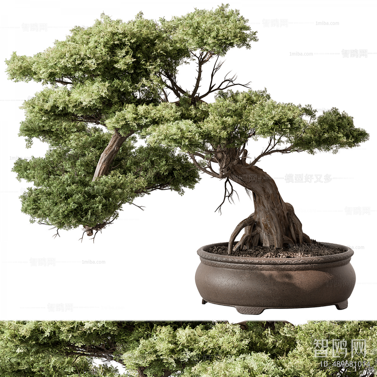 New Chinese Style Bonsai