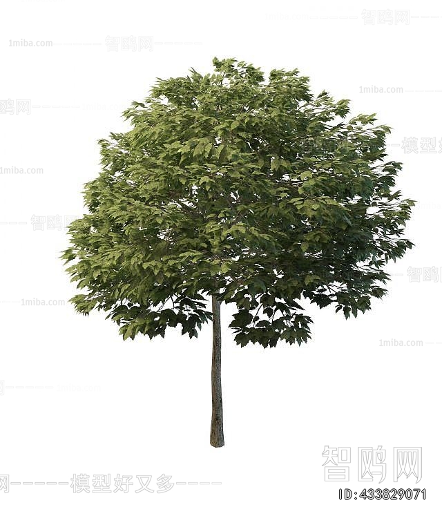 Modern Tree
