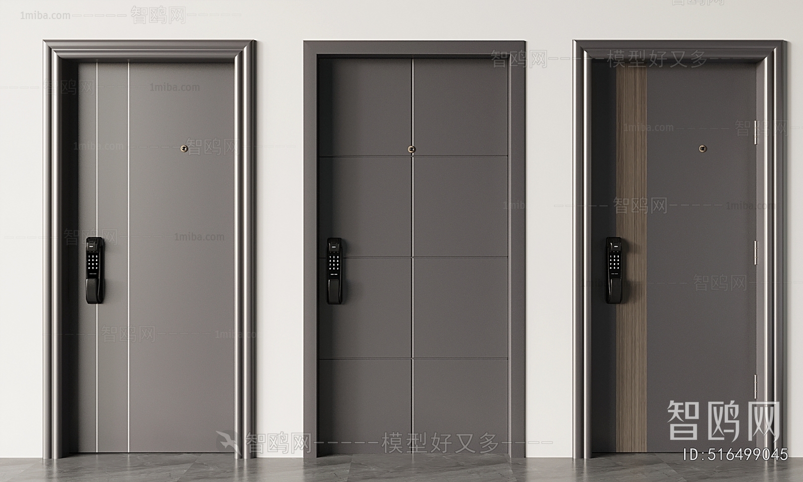 Modern Entrance Door