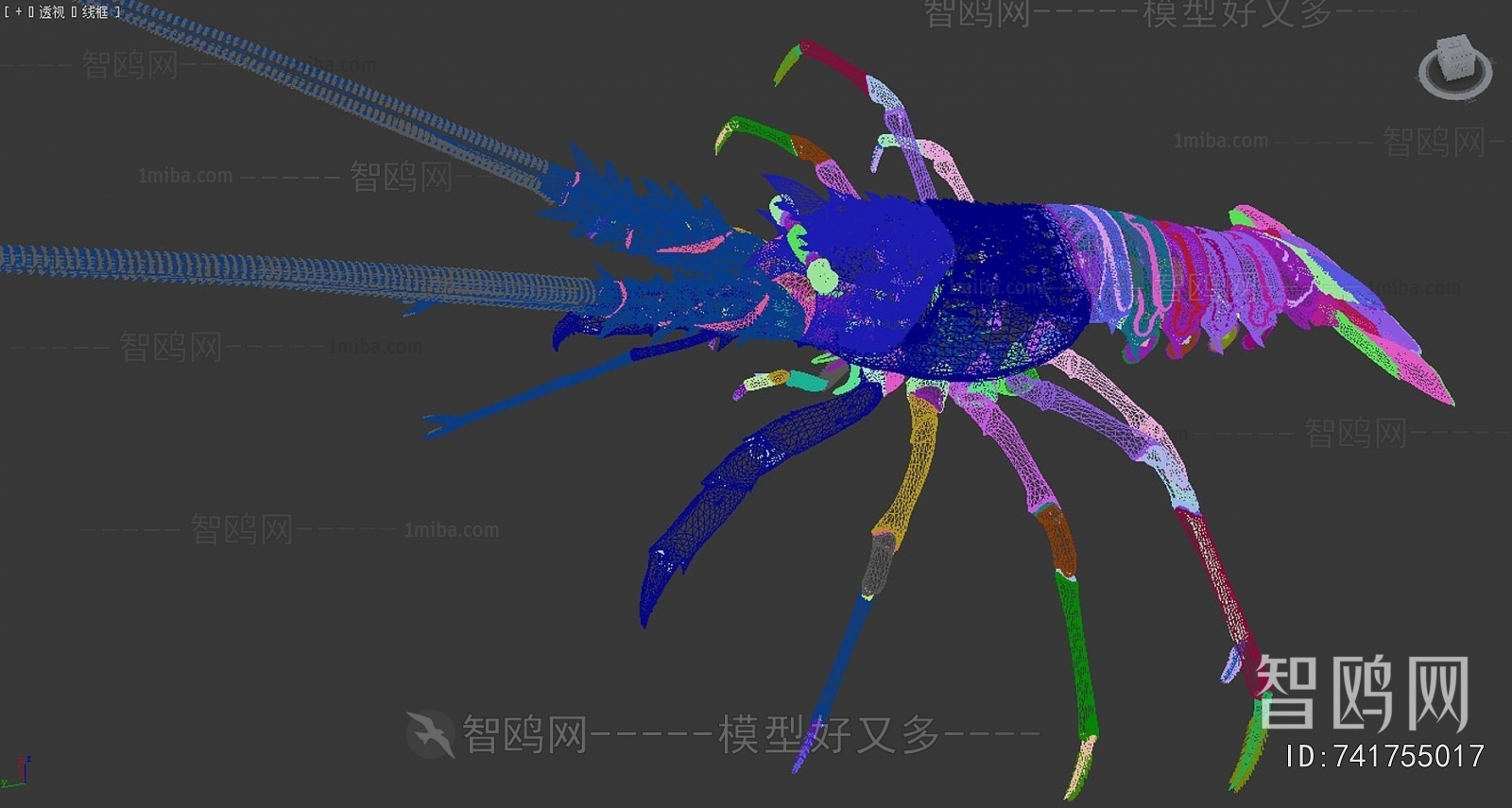 Modern Aquatic Animals