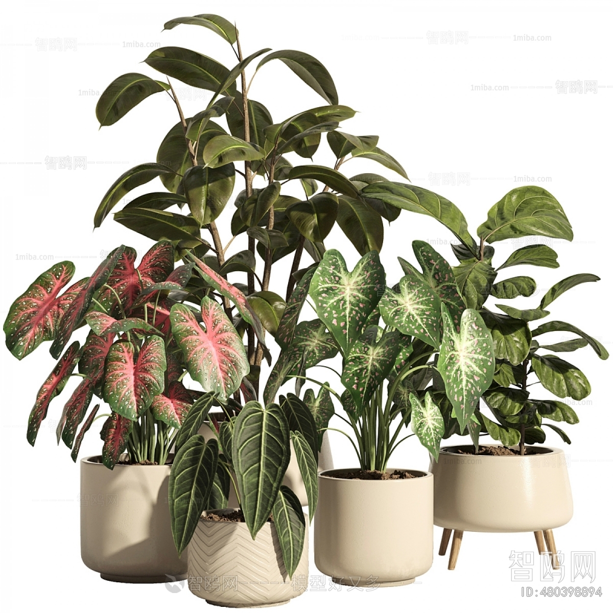 Modern Ground Green Plant Potted Plants
