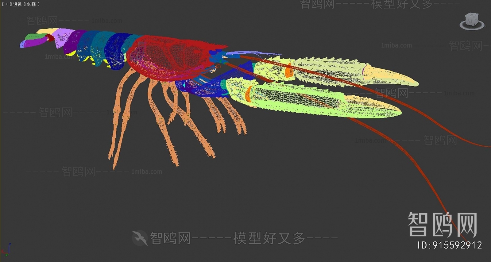 Modern Aquatic Animals