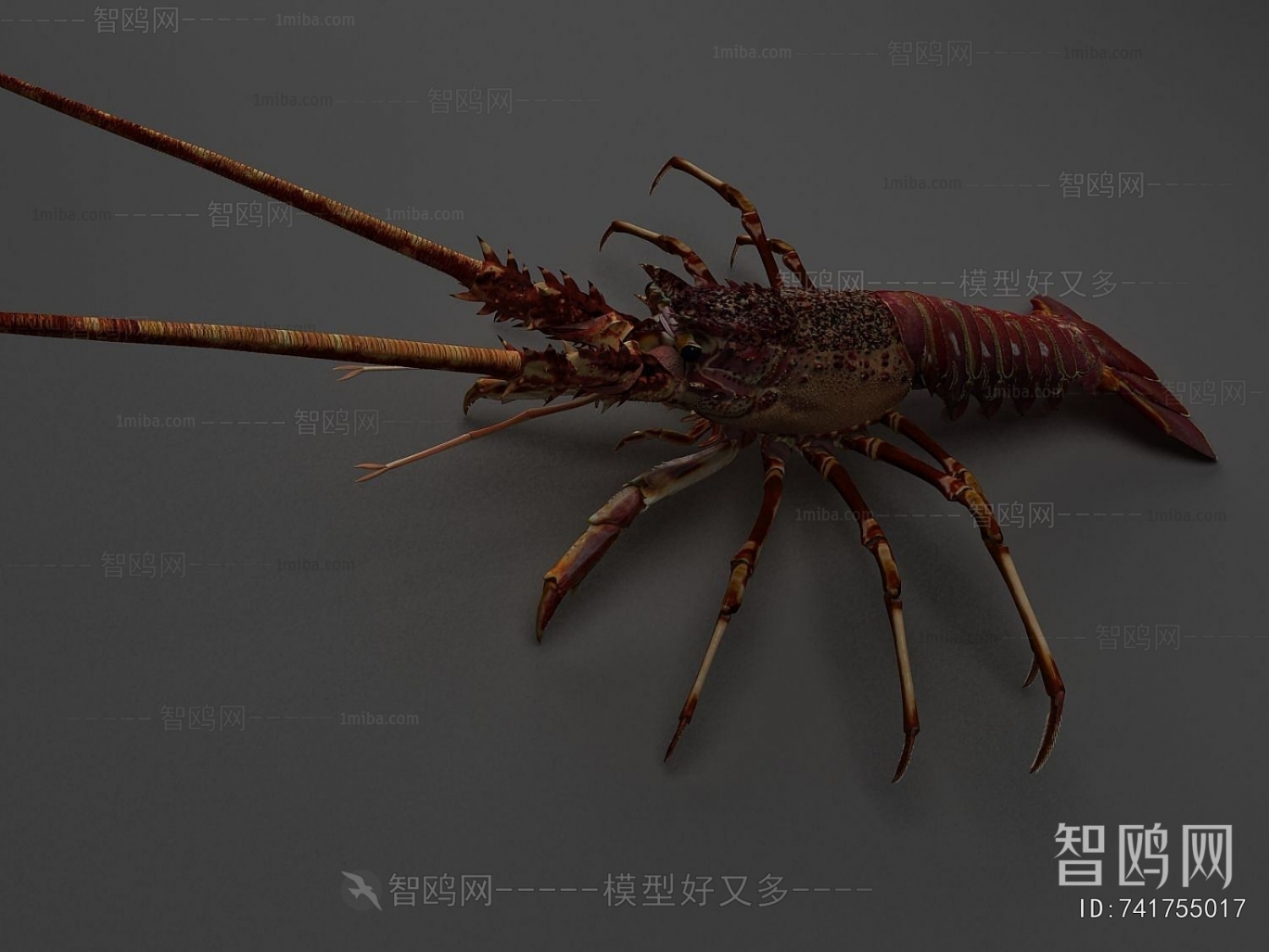 Modern Aquatic Animals