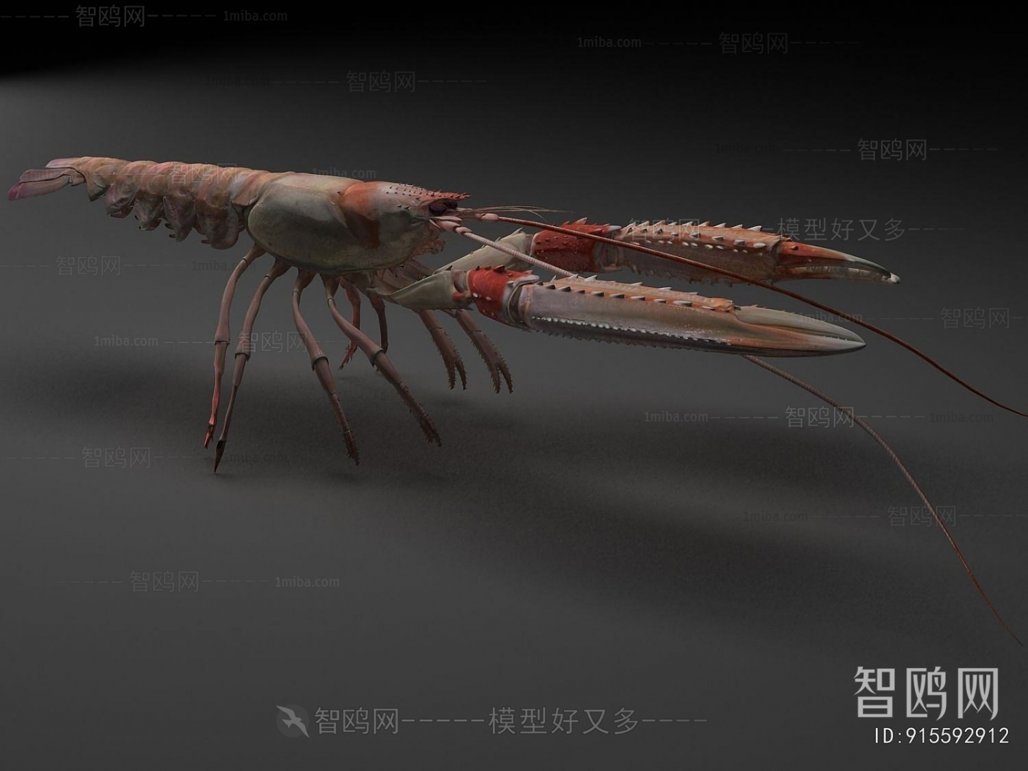 Modern Aquatic Animals