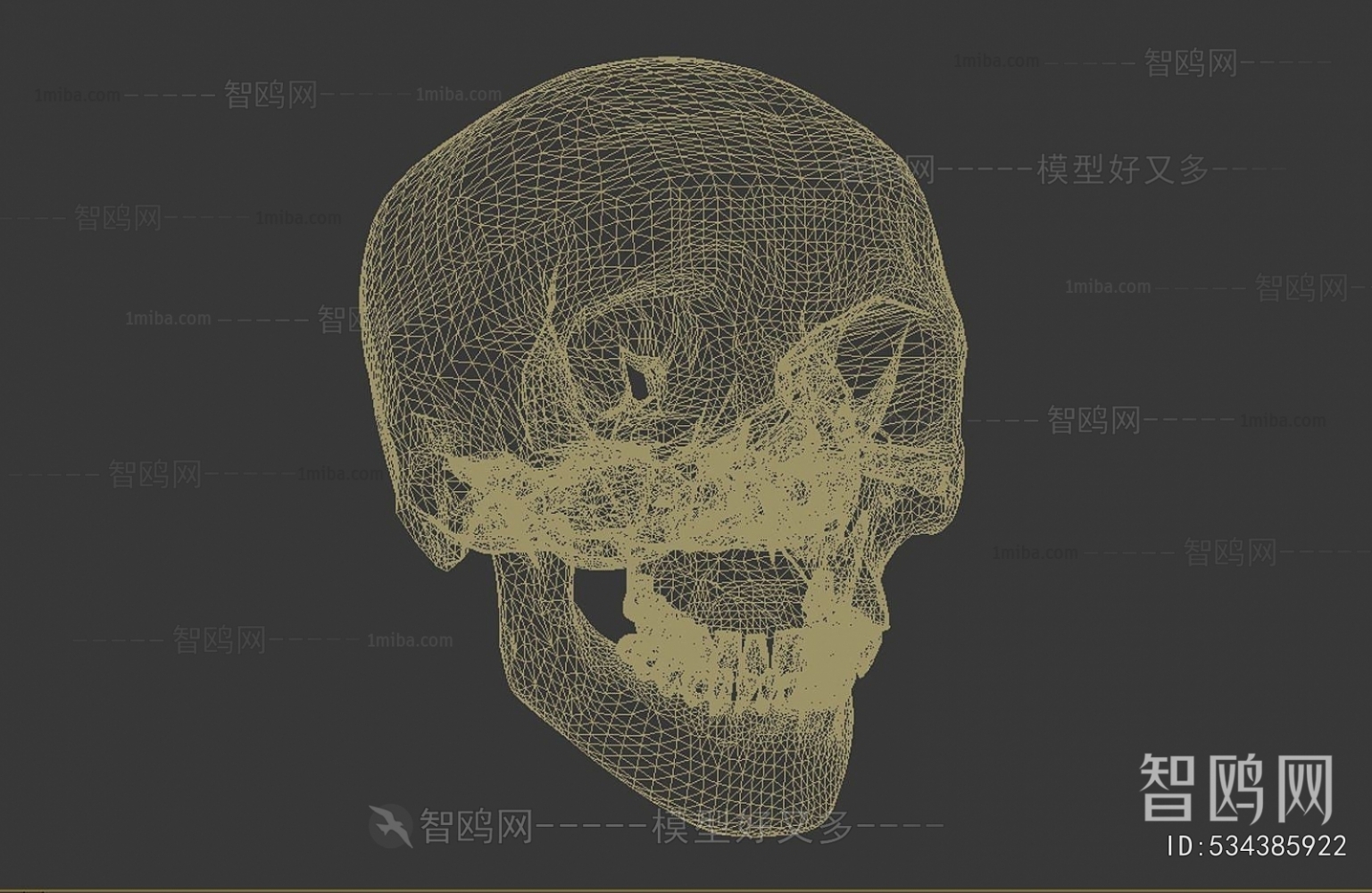 Modern Medical Equipment