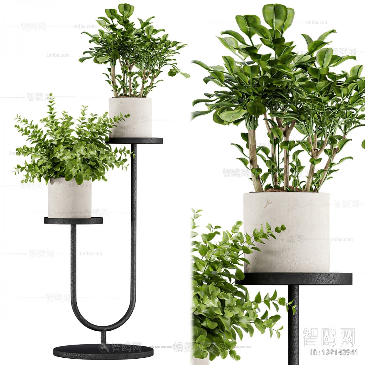 Modern Potted Green Plant