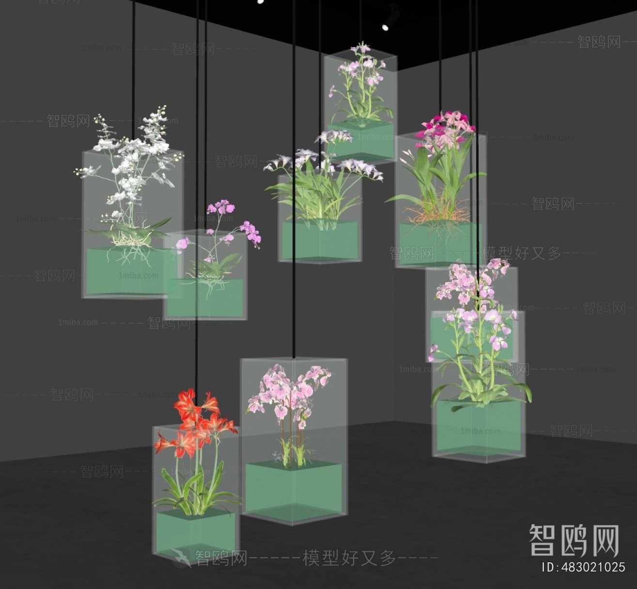 Modern Plant Landscaping