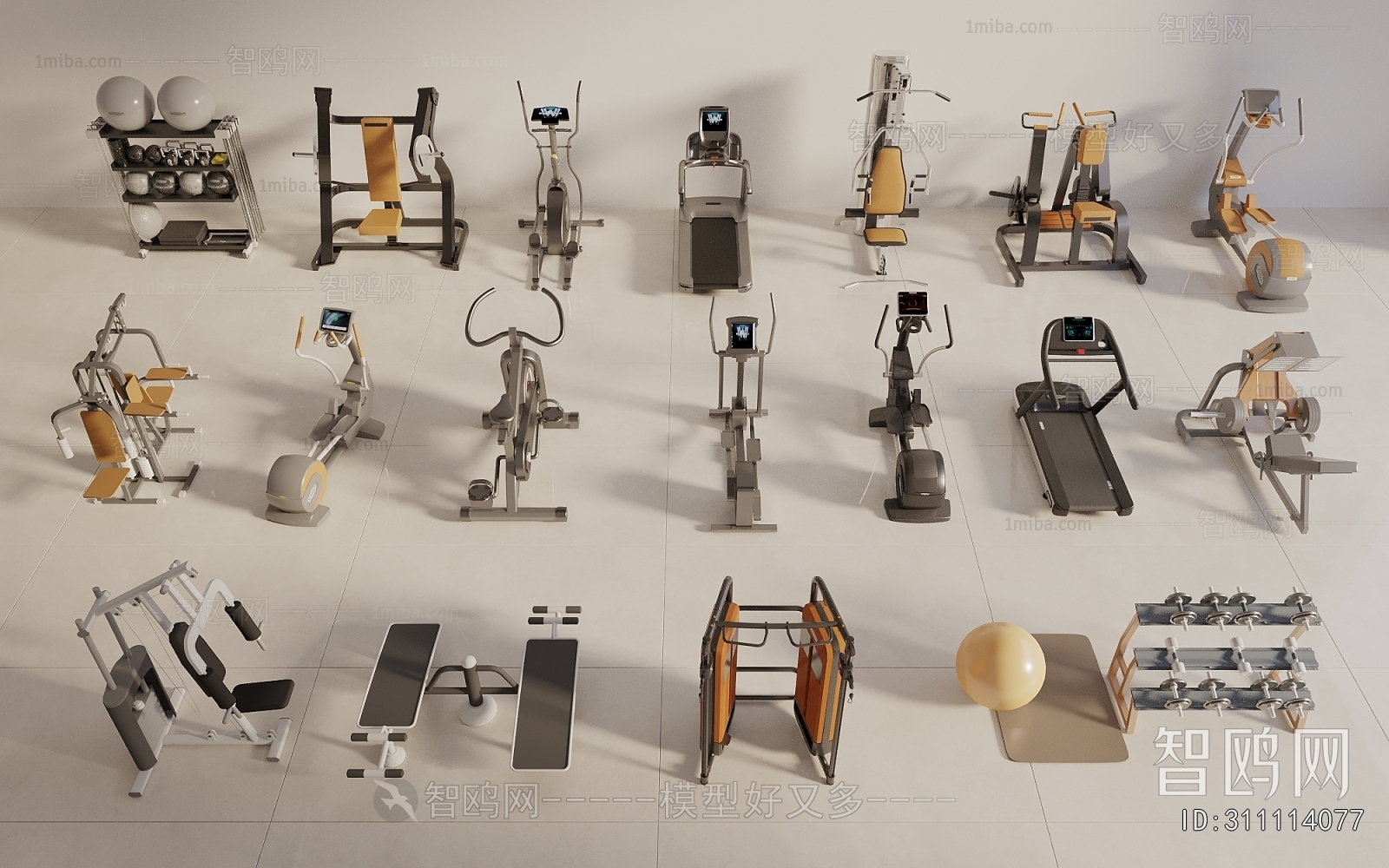 Modern Fitness Equipment