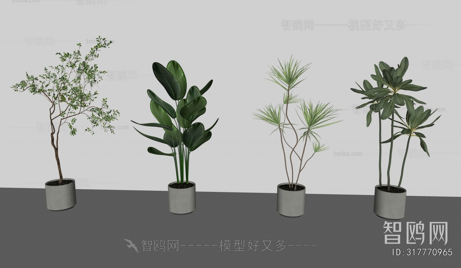 Modern Ground Green Plant Potted Plants