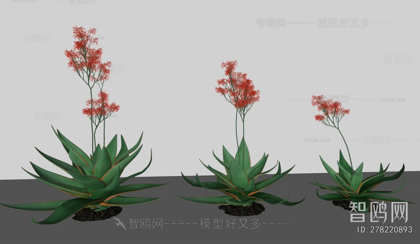 Modern Flowers And Grass