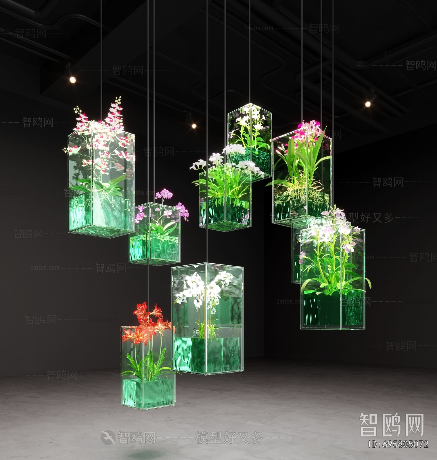 Modern Plant Landscaping