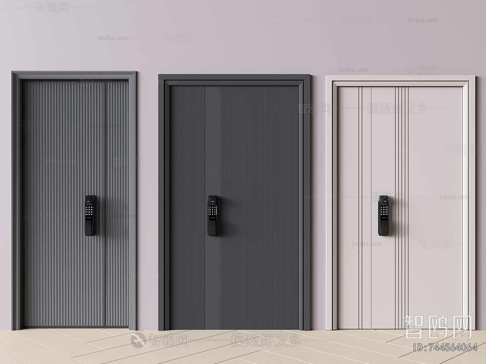 Modern Entrance Door