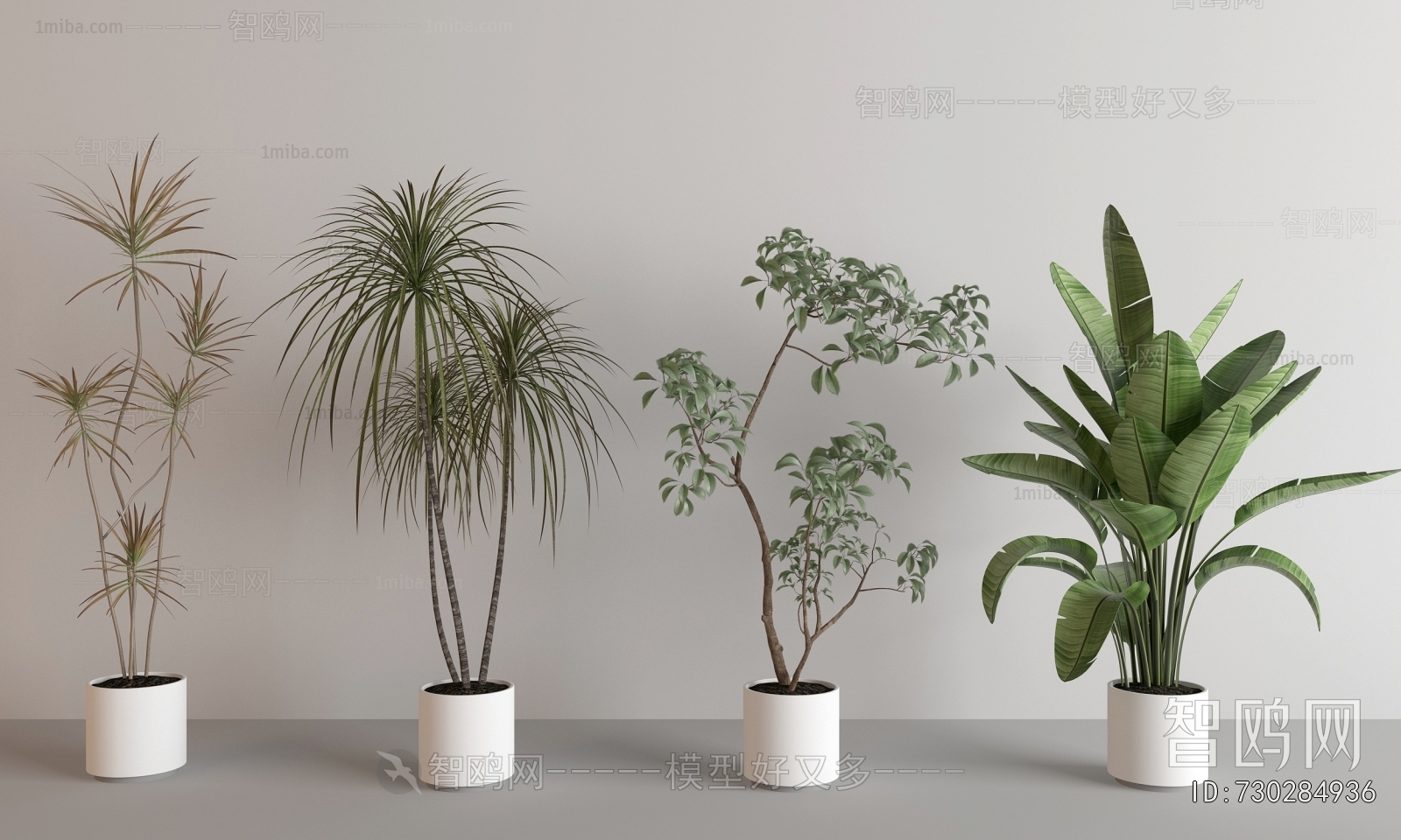 Modern Ground Green Plant Potted Plants
