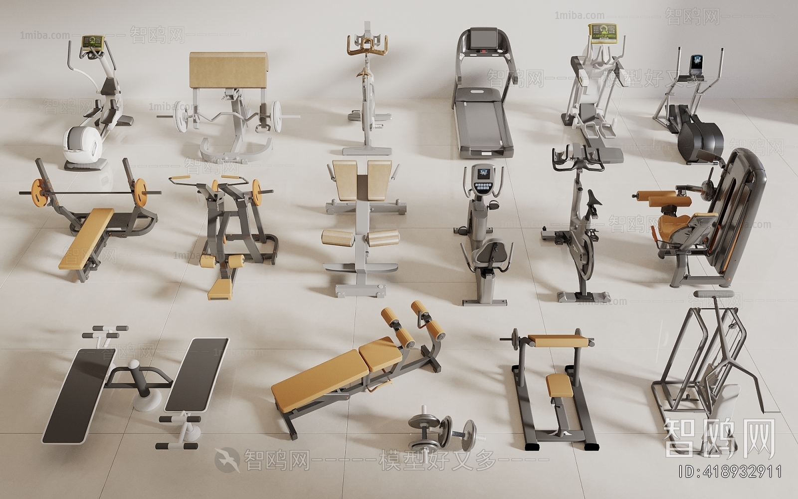 Modern Fitness Equipment
