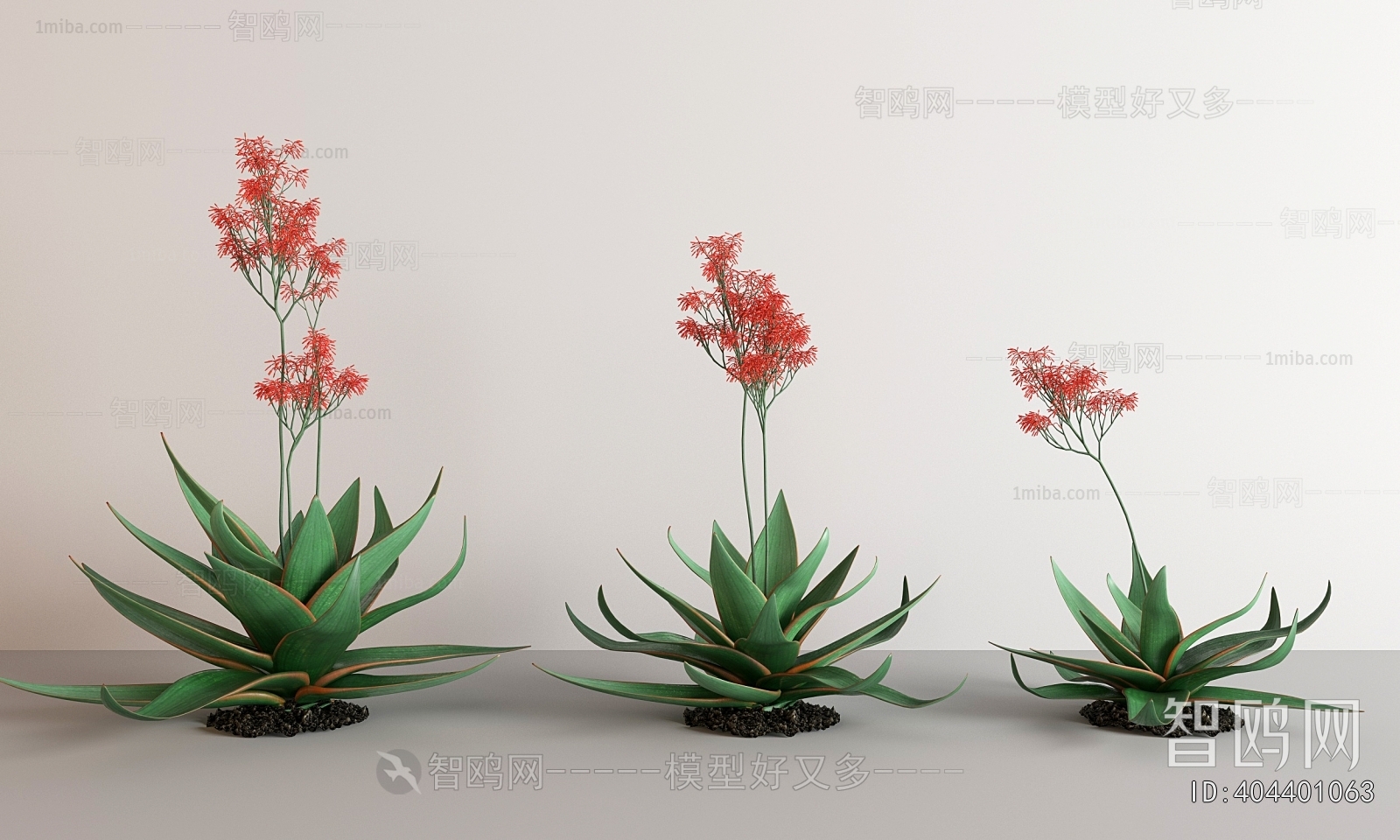 Modern Flowers And Grass