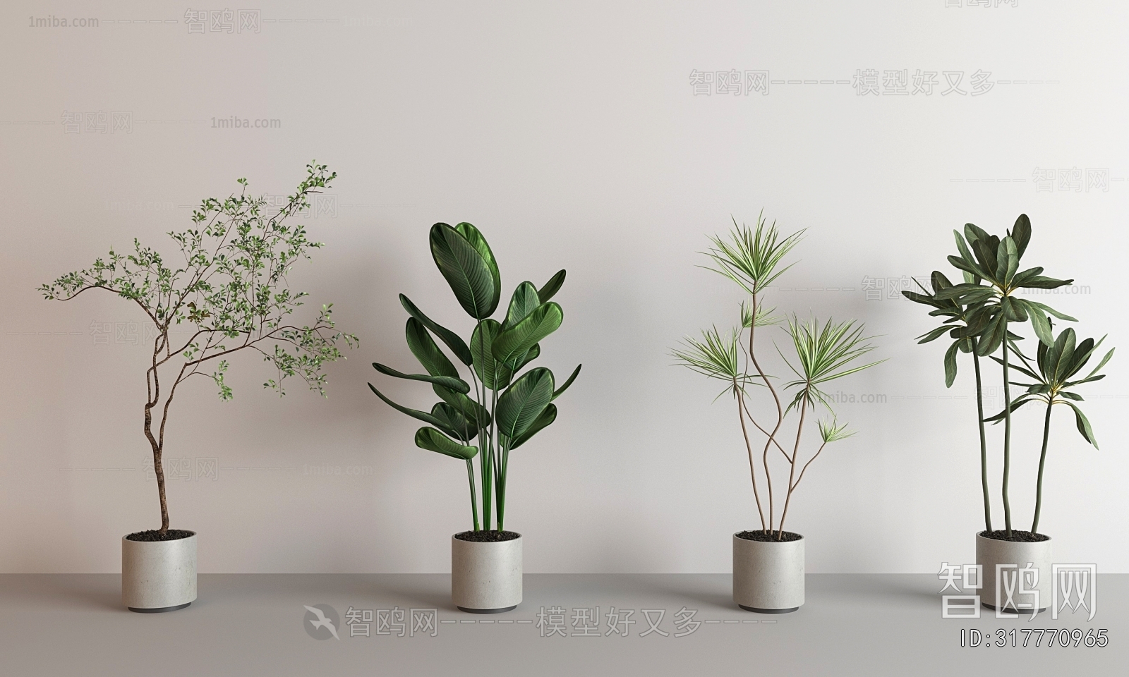 Modern Ground Green Plant Potted Plants