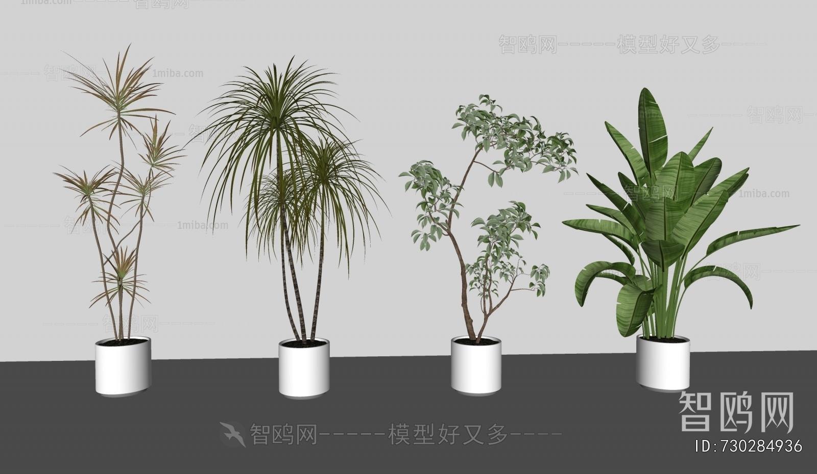 Modern Ground Green Plant Potted Plants