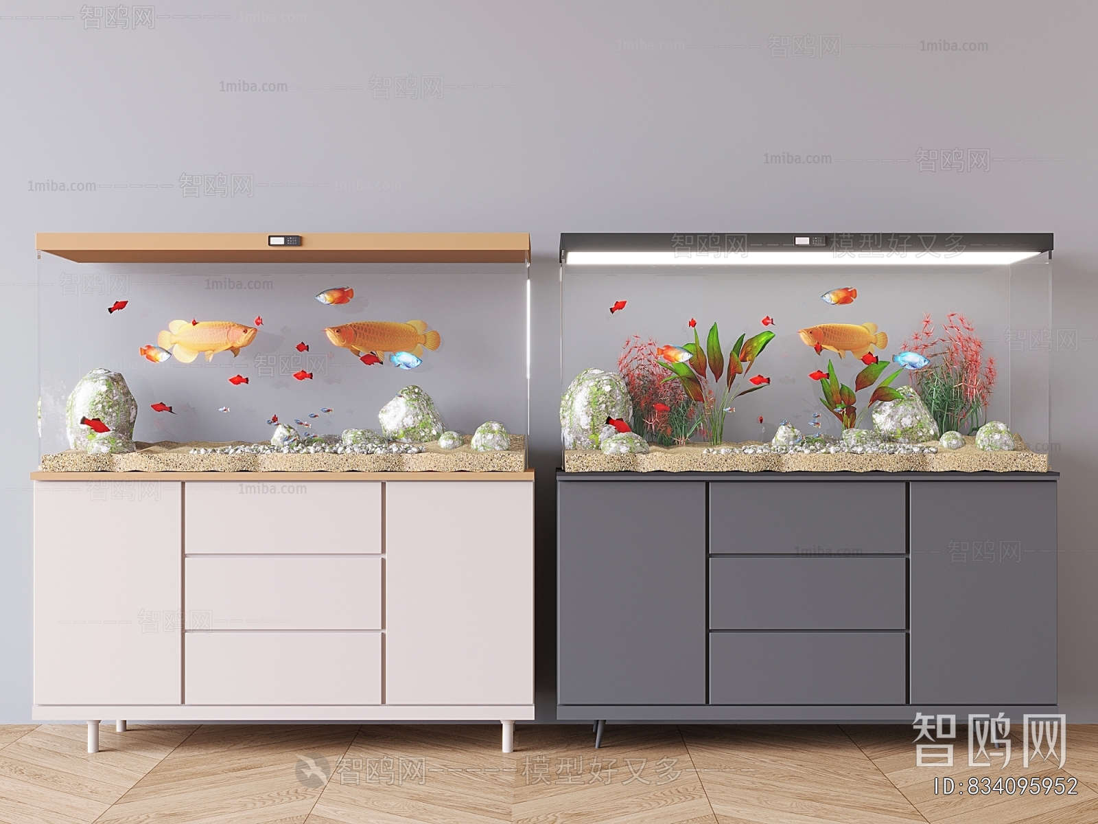 Modern Fish Tank