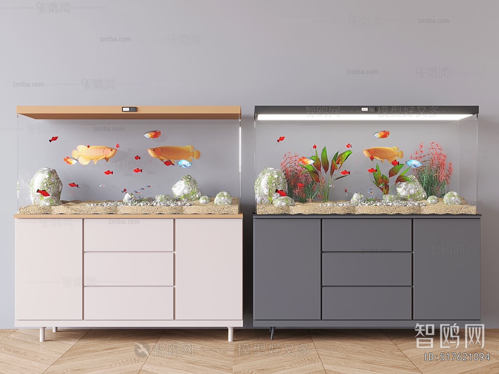 Modern Fish Tank