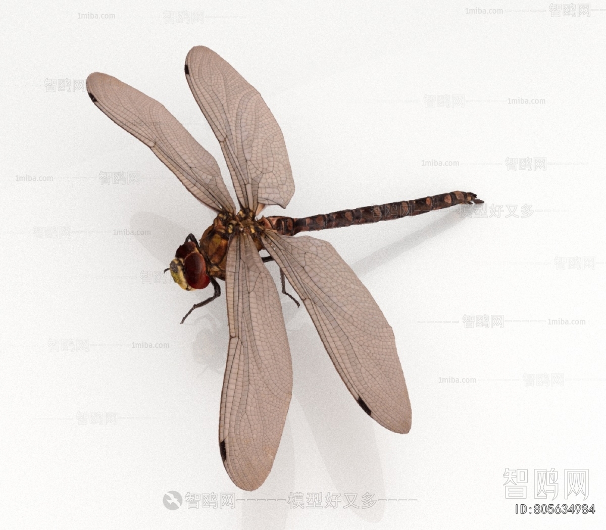 Modern Flying Animals