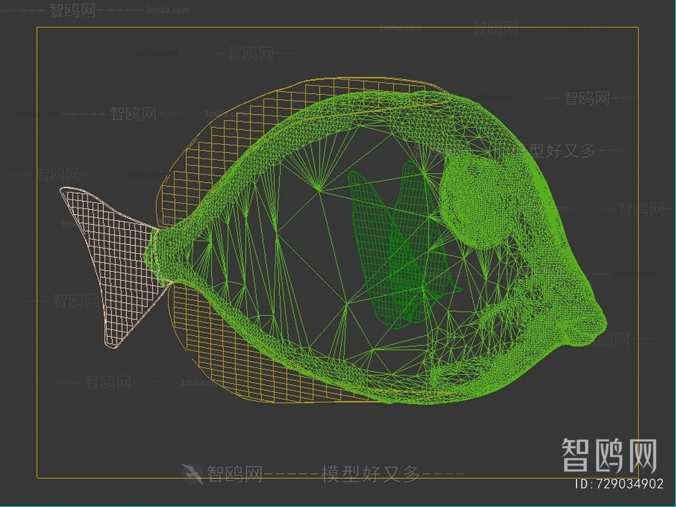 Modern Aquatic Animals