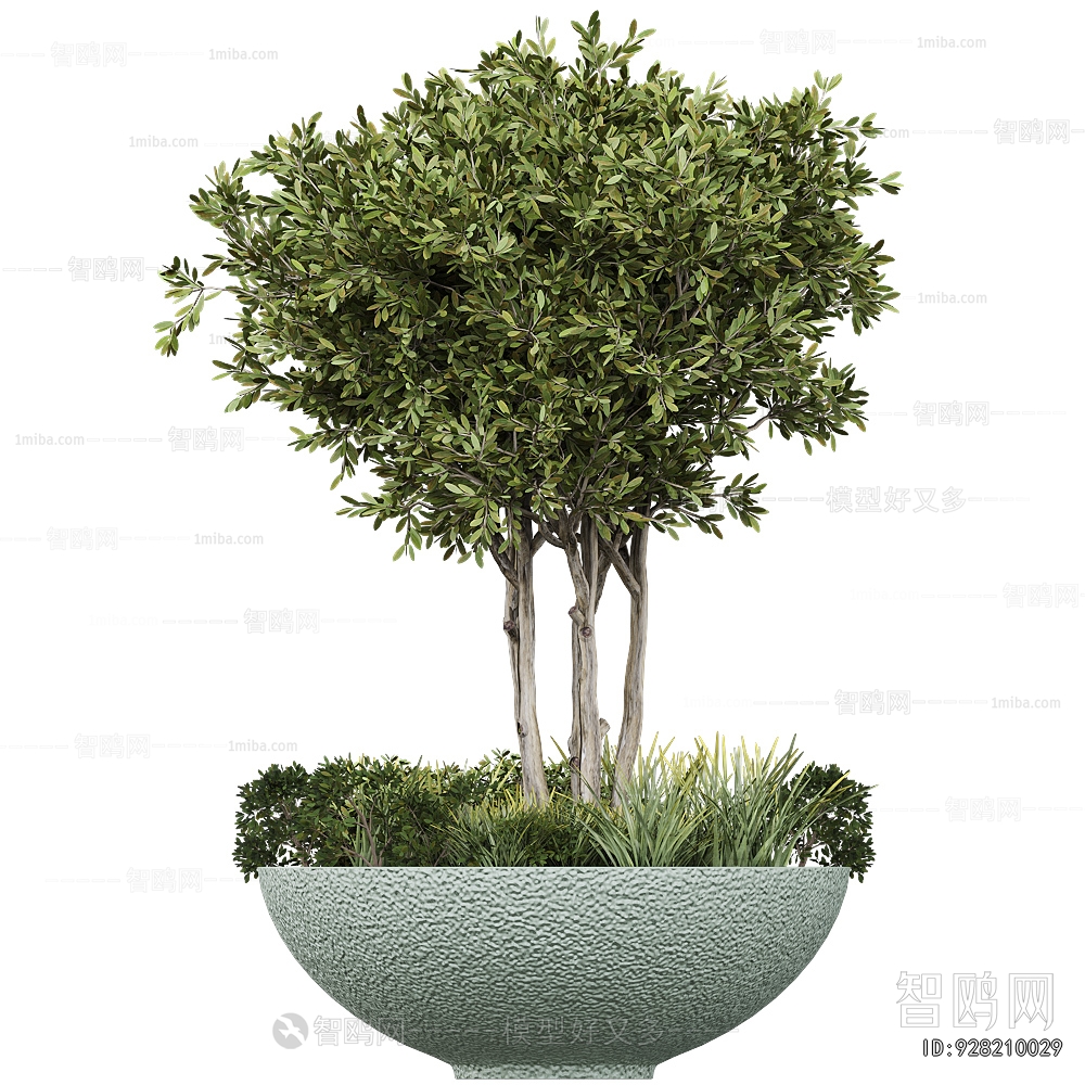 Modern Flower Bed, Flower Bowl, Flower Box