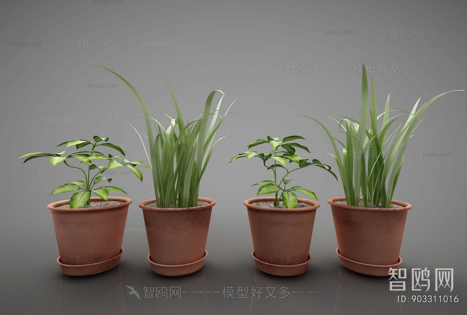 Modern Potted Green Plant