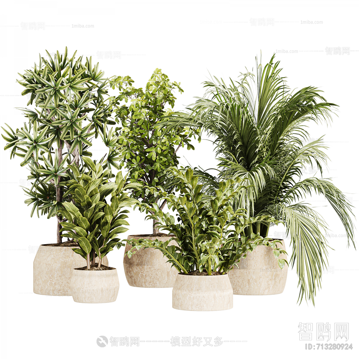 Modern Ground Green Plant Potted Plants
