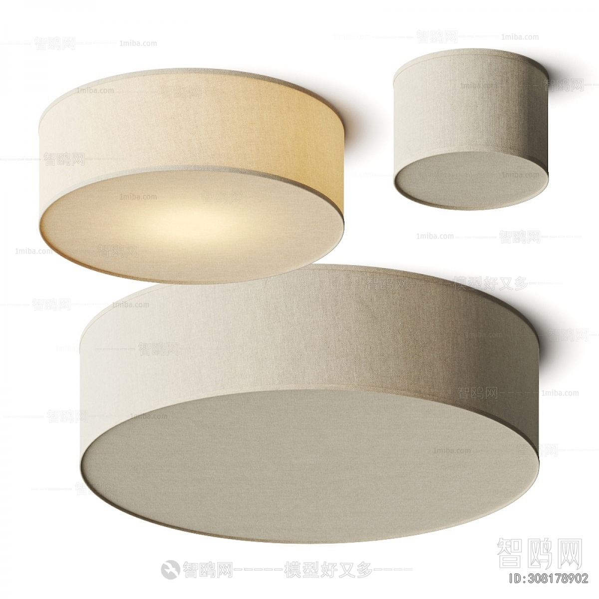 Modern Ceiling Ceiling Lamp