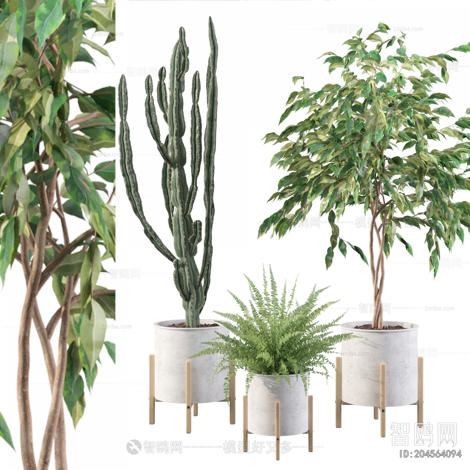 Modern Ground Green Plant Potted Plants