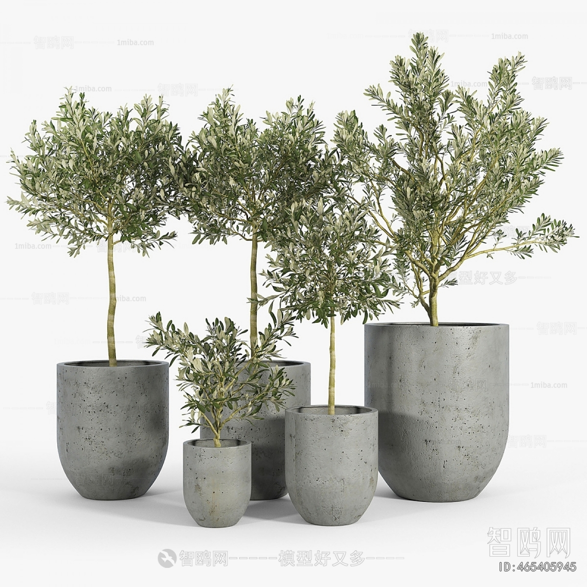 Modern Ground Green Plant Potted Plants