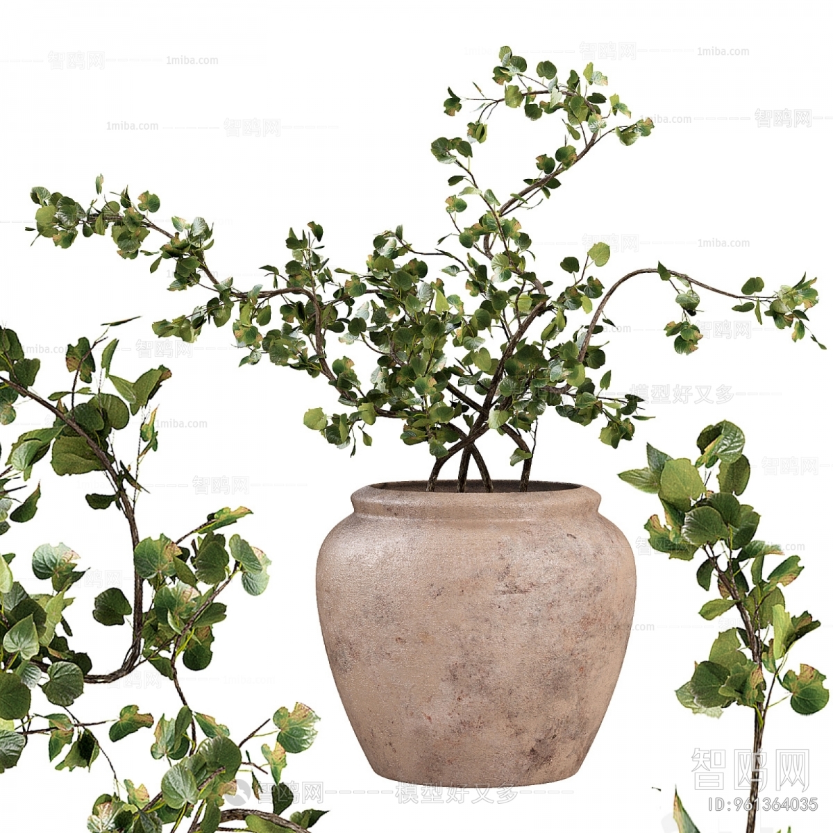 Wabi-sabi Style Bonsai