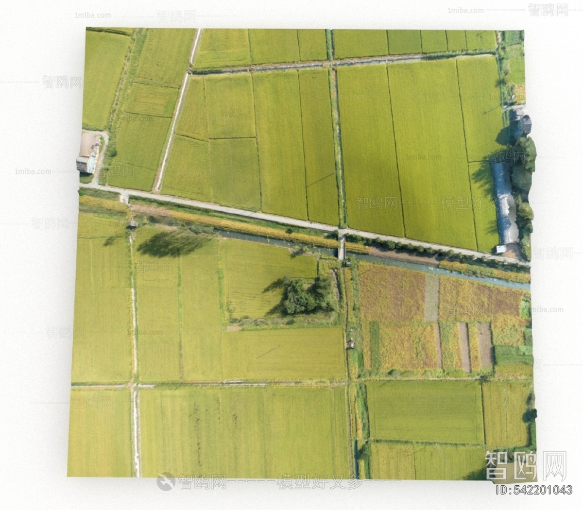 Modern Architectural Bird's-eye View Planning