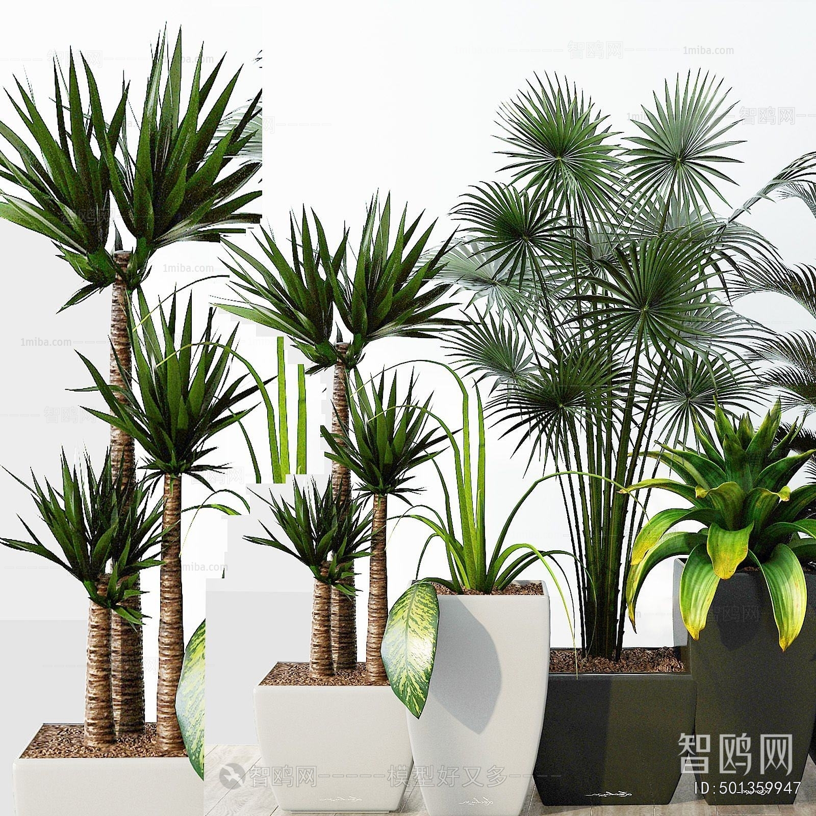 Modern Ground Green Plant Potted Plants