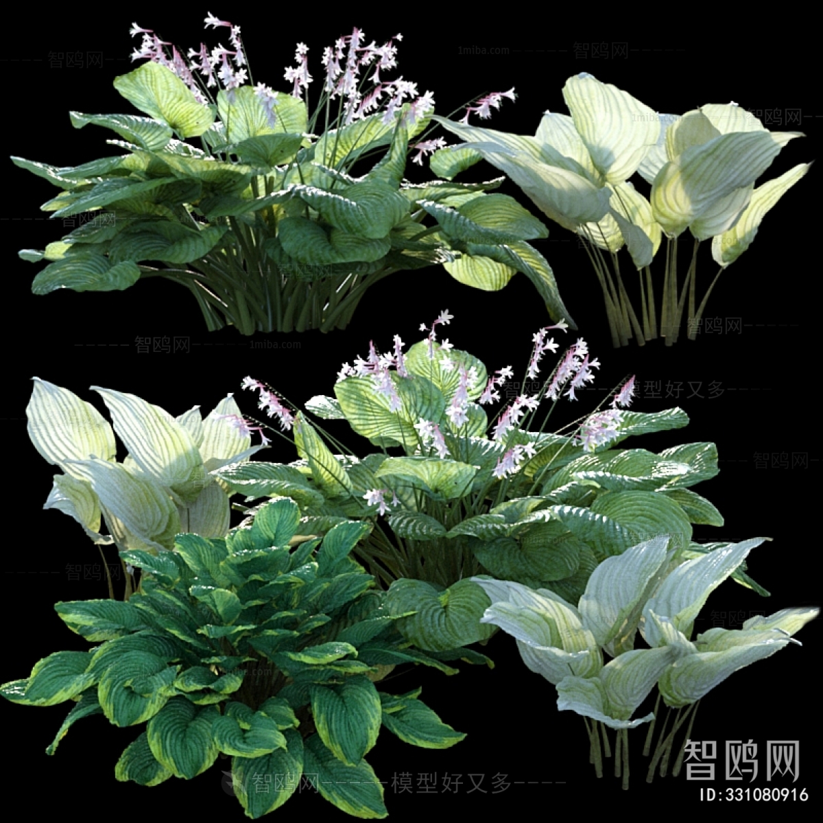 Modern Flowers And Grass