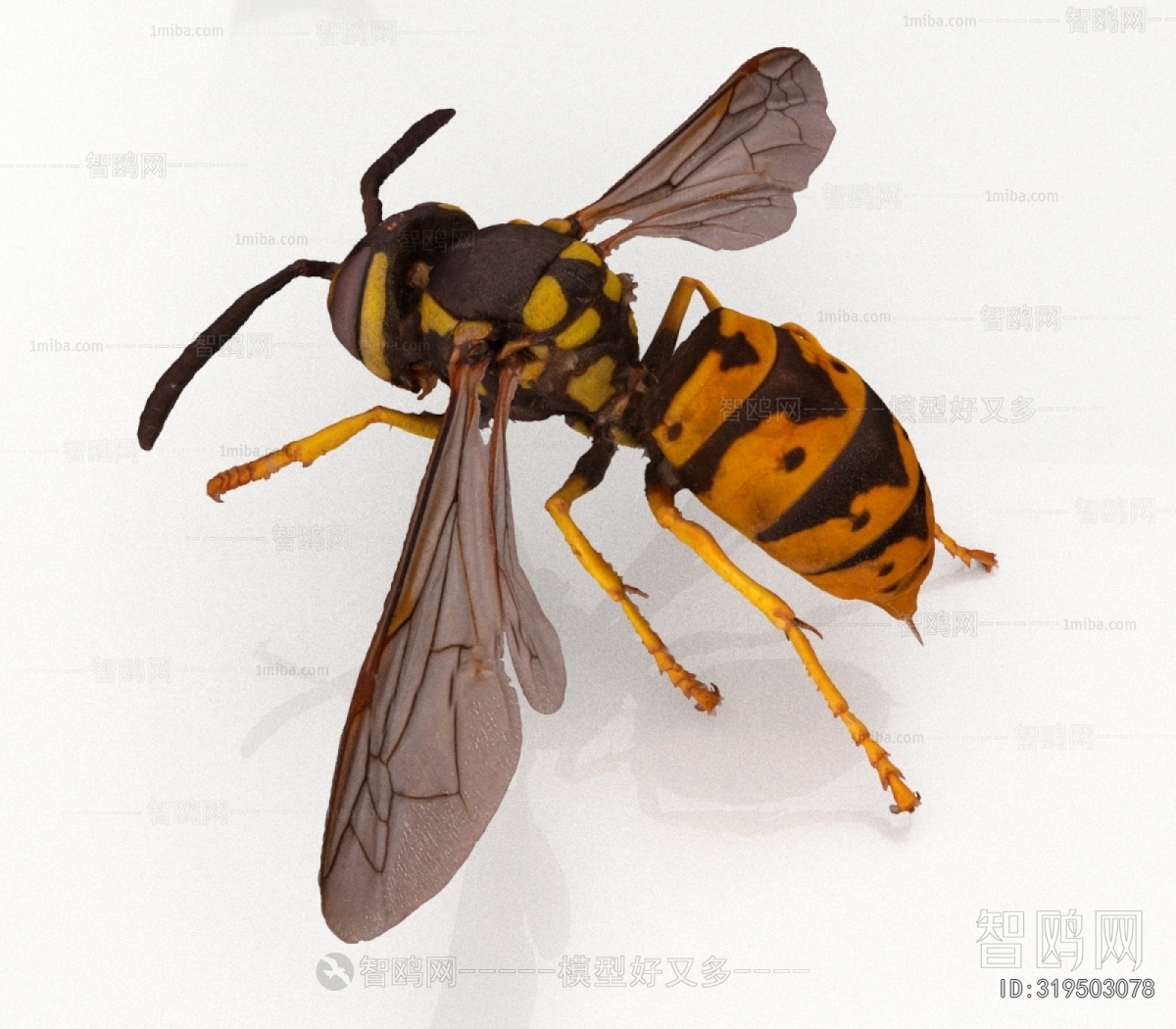 Modern Flying Animals