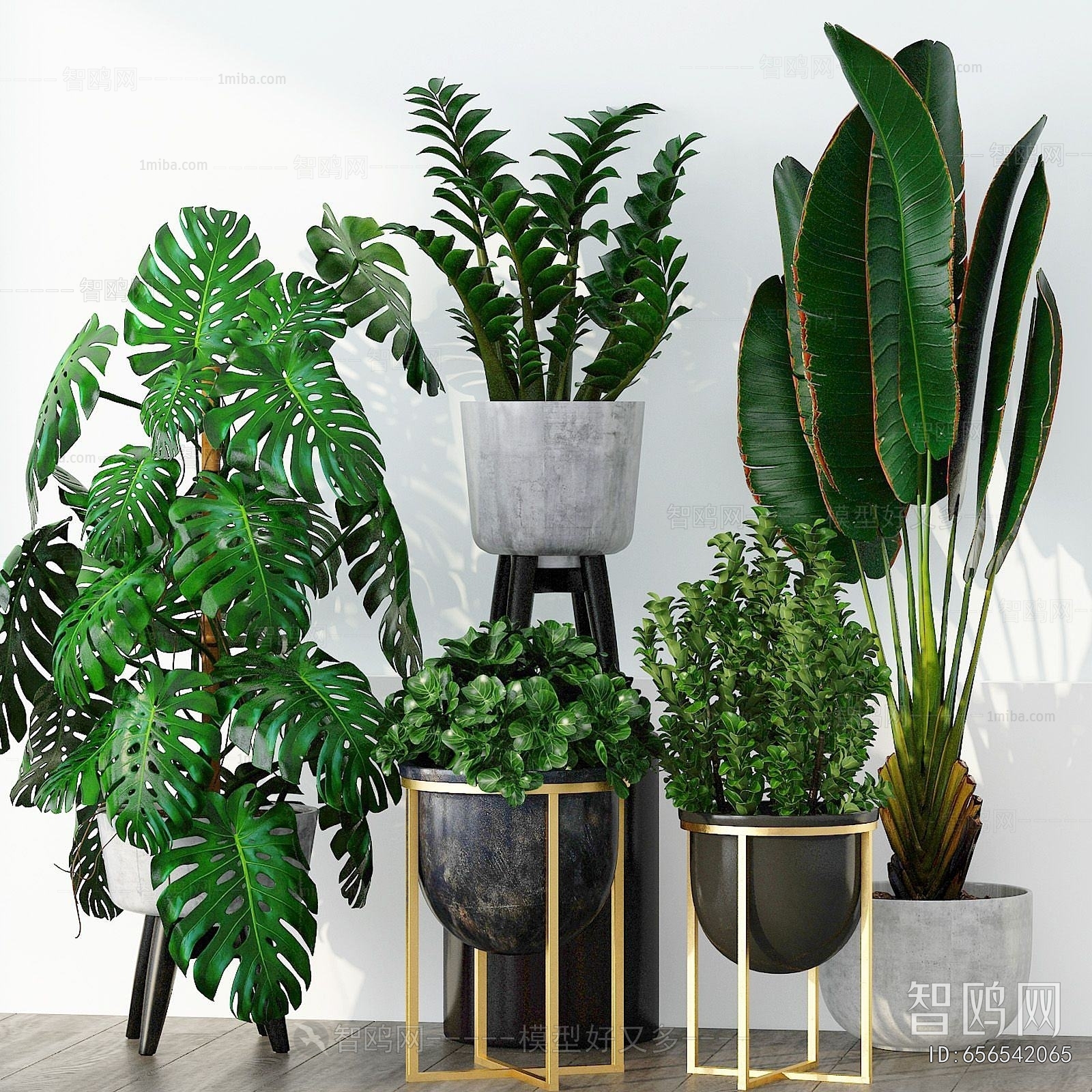 Modern Potted Green Plant