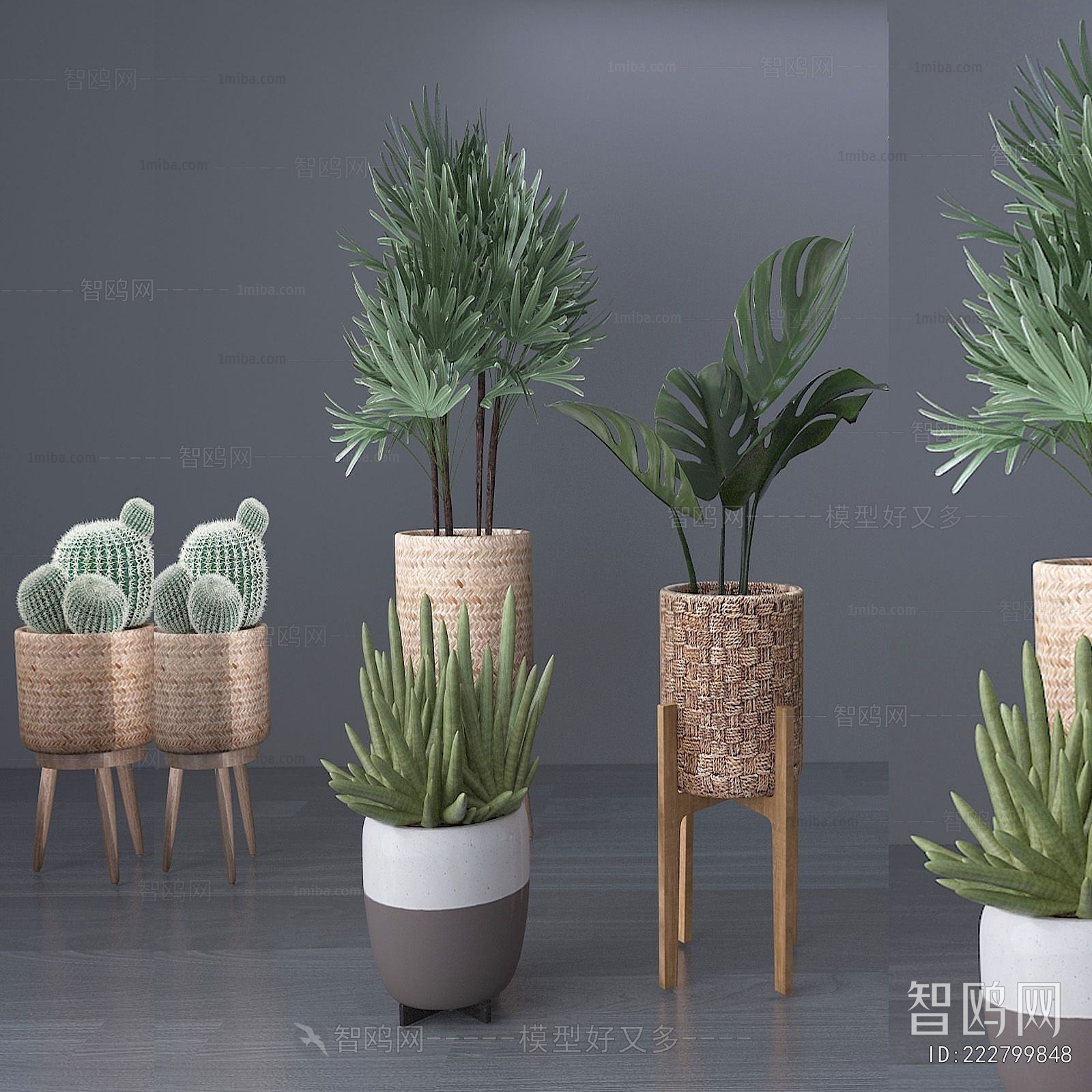Modern Potted Green Plant