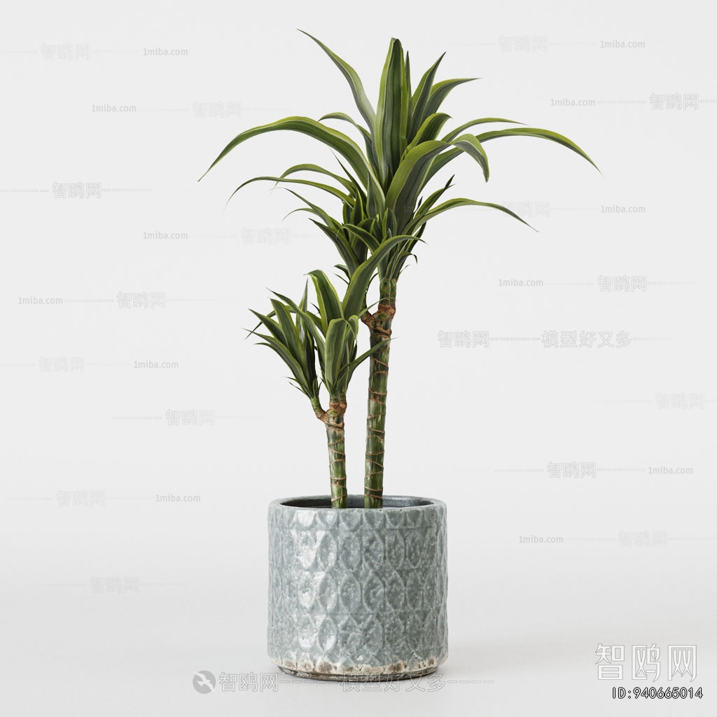 Modern Ground Green Plant Potted Plants