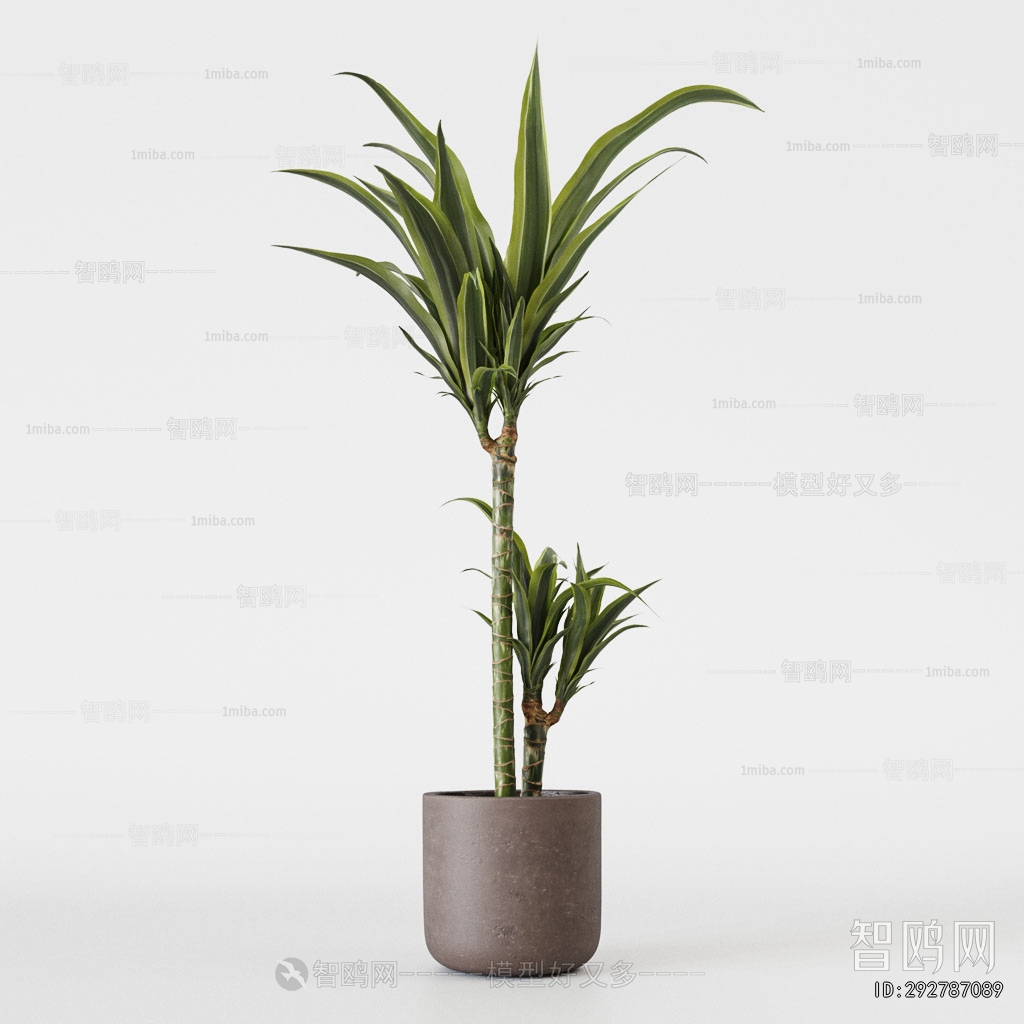 Modern Ground Green Plant Potted Plants